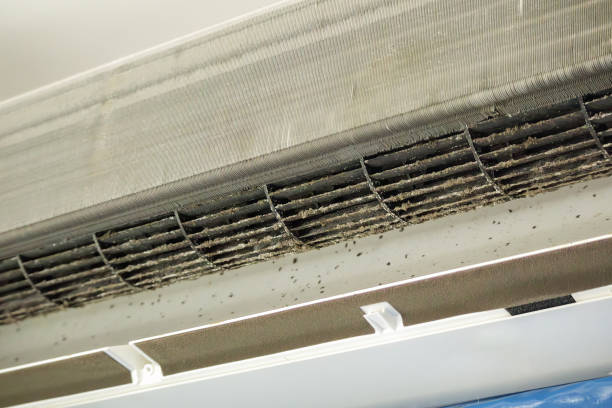 Best Affordable Air Duct Cleaning  in Ellis, KS